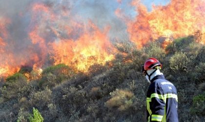 Violents incendies en France : la situation «hors de contrôle»