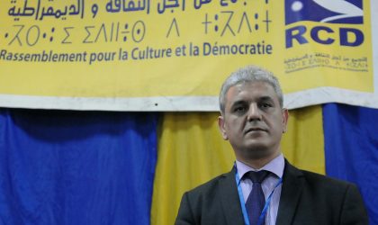 Le bureau du RCD de Tamanrasset attaqué par des «inconnus»