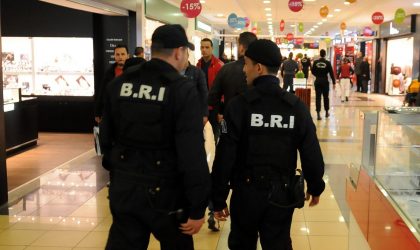 Classement du terrorisme dans le monde : l’Algérie sort de la zone rouge