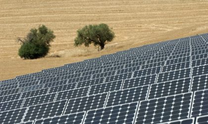 Le FCE contribue à un vaste programme de fermes photovoltaïques