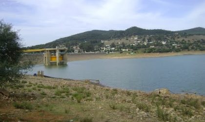 Le directeur général de l’ANBT dément l’effondrement d’un barrage à Tarf