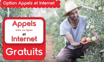 Ooredoo lance «Options Appels et Internet» pour ses clients entreprises