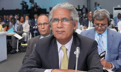 Ould Salek : «Le Maroc cherche à sortir de son isolement»