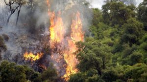 Incendie, plan Orsec