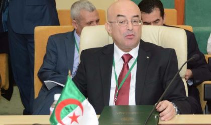 Coopération algéro-malienne : Alger réitère sa disponibilité à assister Bamako