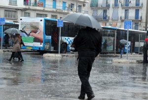 Alger averses