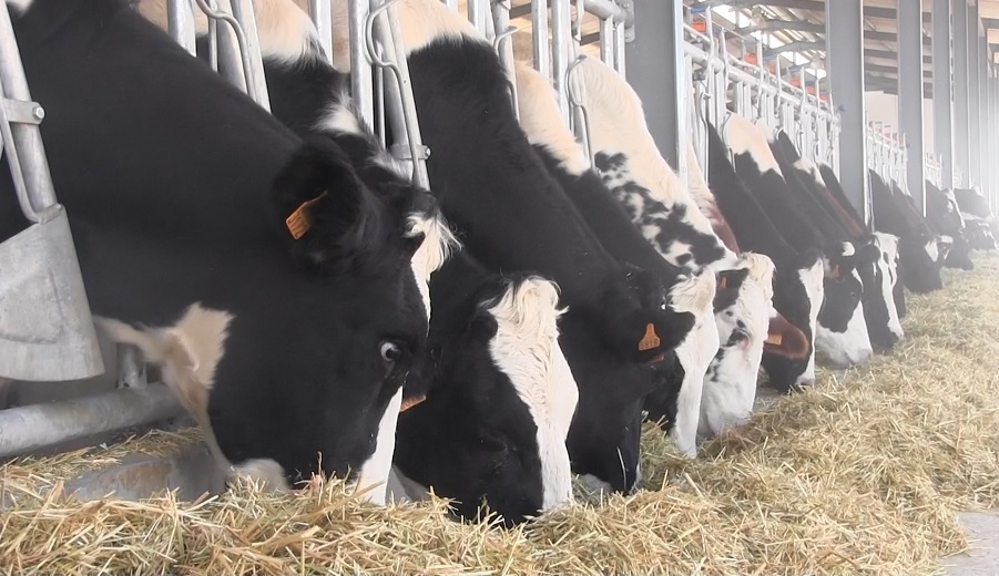 27e FPA Soummam Alger