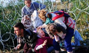 migrants