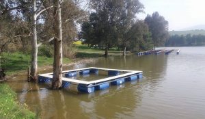 pêche