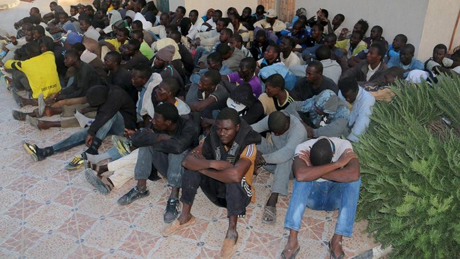 migrants