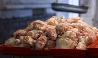 Oran : six tonnes de poulet de chair provenant de l’abattage clandestin saisies