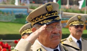 Mokri
