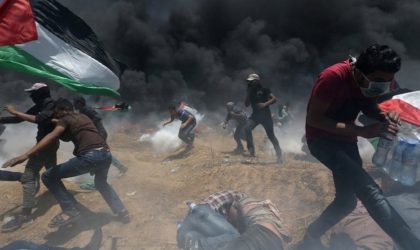 Agression israélienne contre Ghaza : l’ONU se prononce sur l’envoi d’enquêteurs