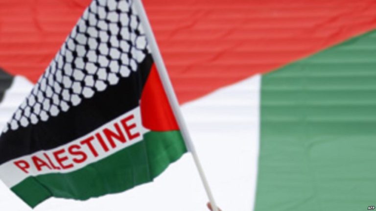 Palestine Suède marche