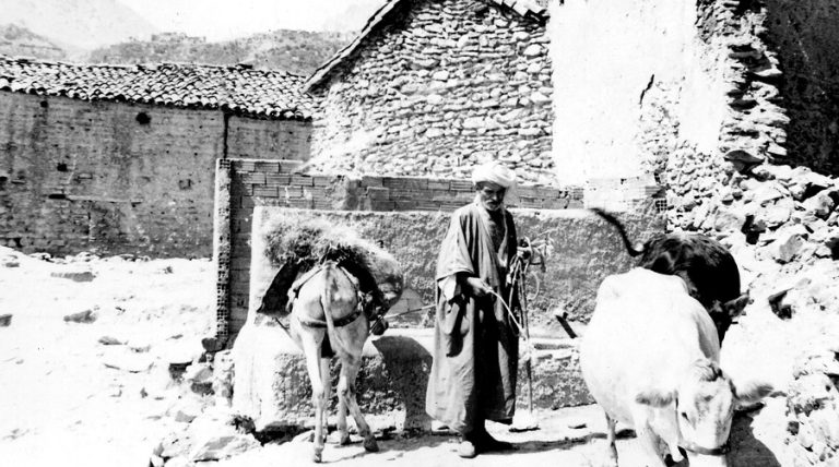 Mohamed Djaafar