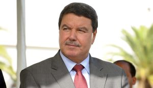 Hamel été
