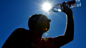 canicule températures