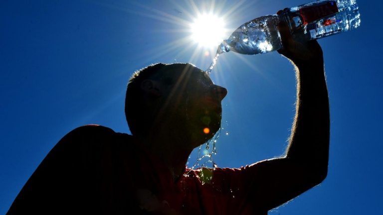canicule sud