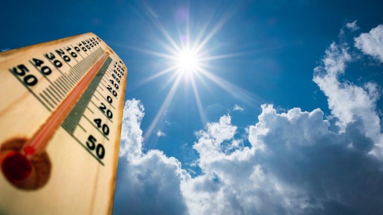 canicule sud bms