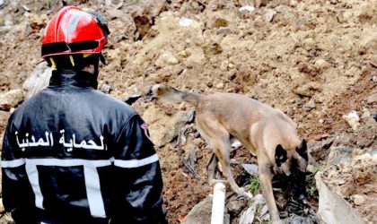 Aïd El Adha : la Protection civile appelle à la prudence