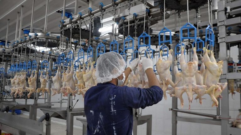 poulet inflation
