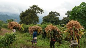 Leadership4Agriculture