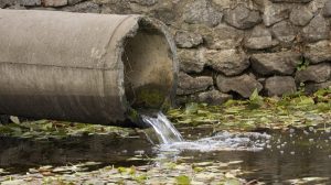 choléra eaux usées