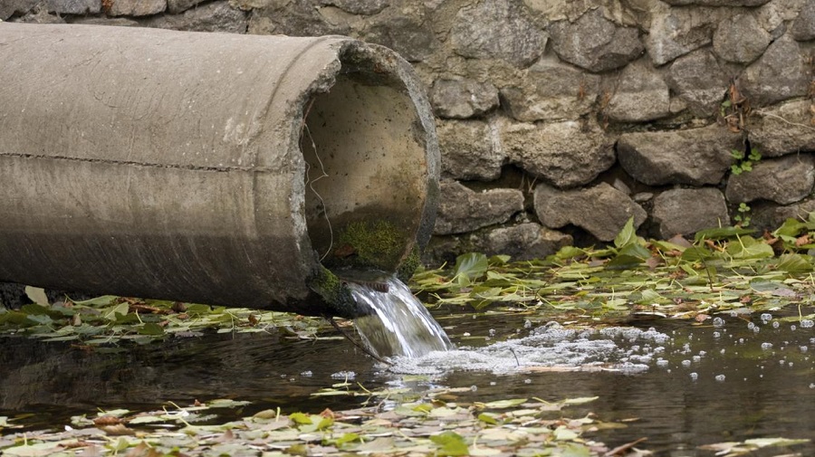 choléra eaux usées