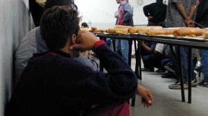 FAO rapport Algérie