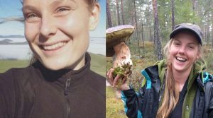 Scandinaves-tuees