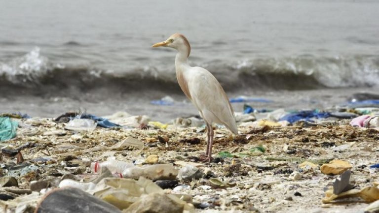 plastique