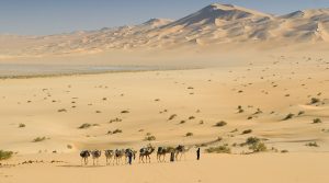 Des soldats de l'ANP sécurisant le site gazier de Tiguentourine. New Press