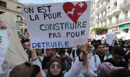 Algérie : la colombe se posera-t-elle un jour ?