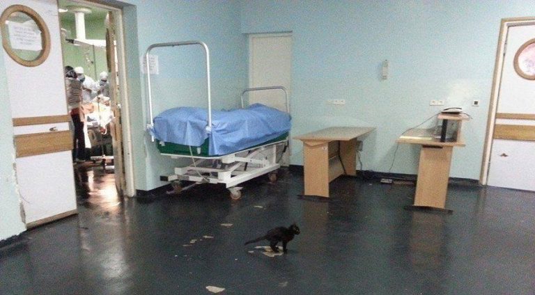 médecins