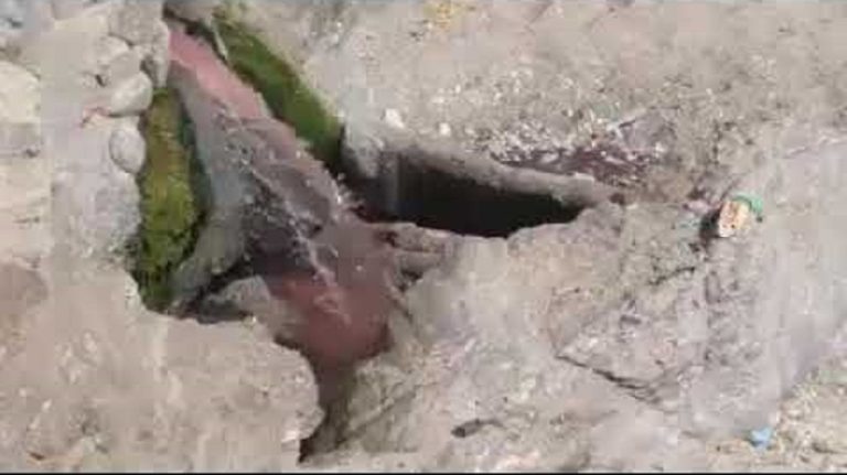 pollution plage Algérie