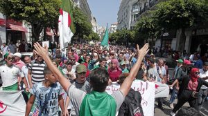 manifestation tomate