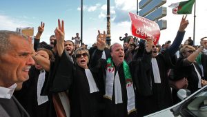 avocats grève