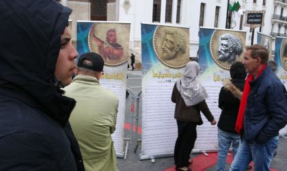 Tamazight dans la Constitution : qui distille les propos racistes sur la Toile ?