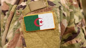 Des soldats de l'ANP en opération. New Press