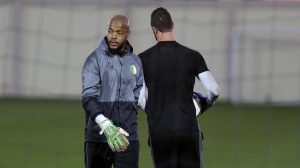 M’bolhi, époustouflant face au Zimbabwe, souffre de douleurs. New Press