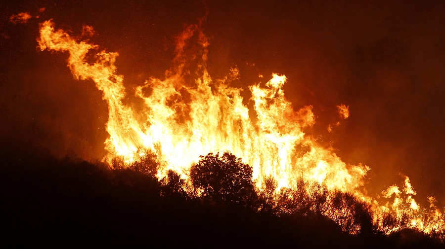 incendies forêts