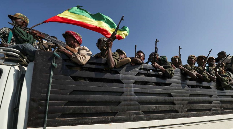 tigré guerre