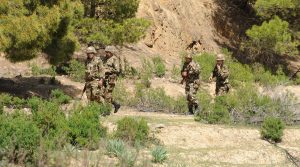 ANP Armée