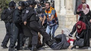 Palestine traitement