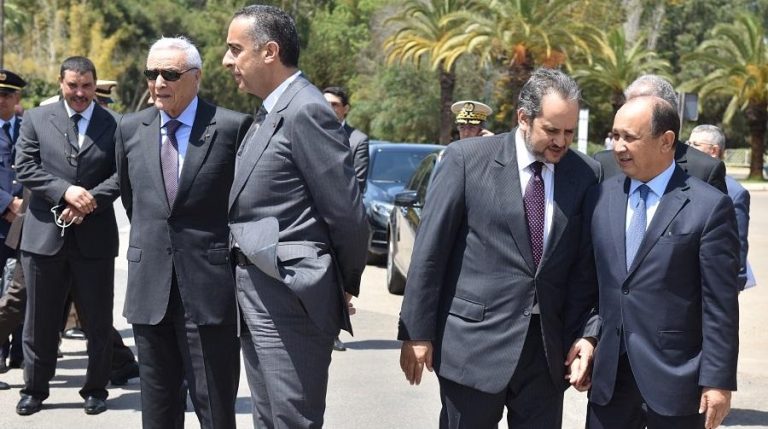 services Mohammed VI
