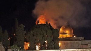 Palestine mensonge