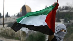 Palestine Conseil