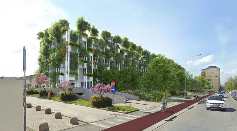Urban jungle