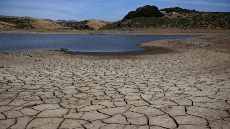 Chaleur Record Sécheresse En Algérie Et Ailleurs Cest Une Question De Survie Algérie