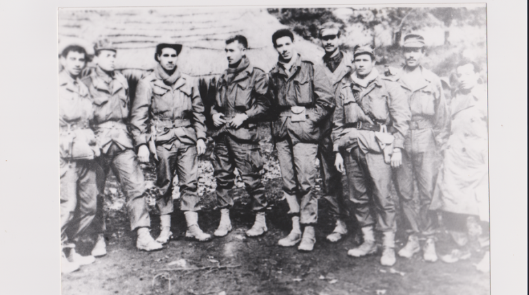 ALN. Guerre de révolution